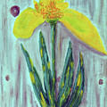 Yellow Lily